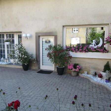 La Belle Endormie - Appartement A Fenetrange Exteriör bild