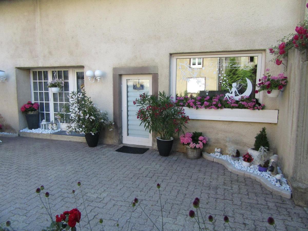 La Belle Endormie - Appartement A Fenetrange Exteriör bild