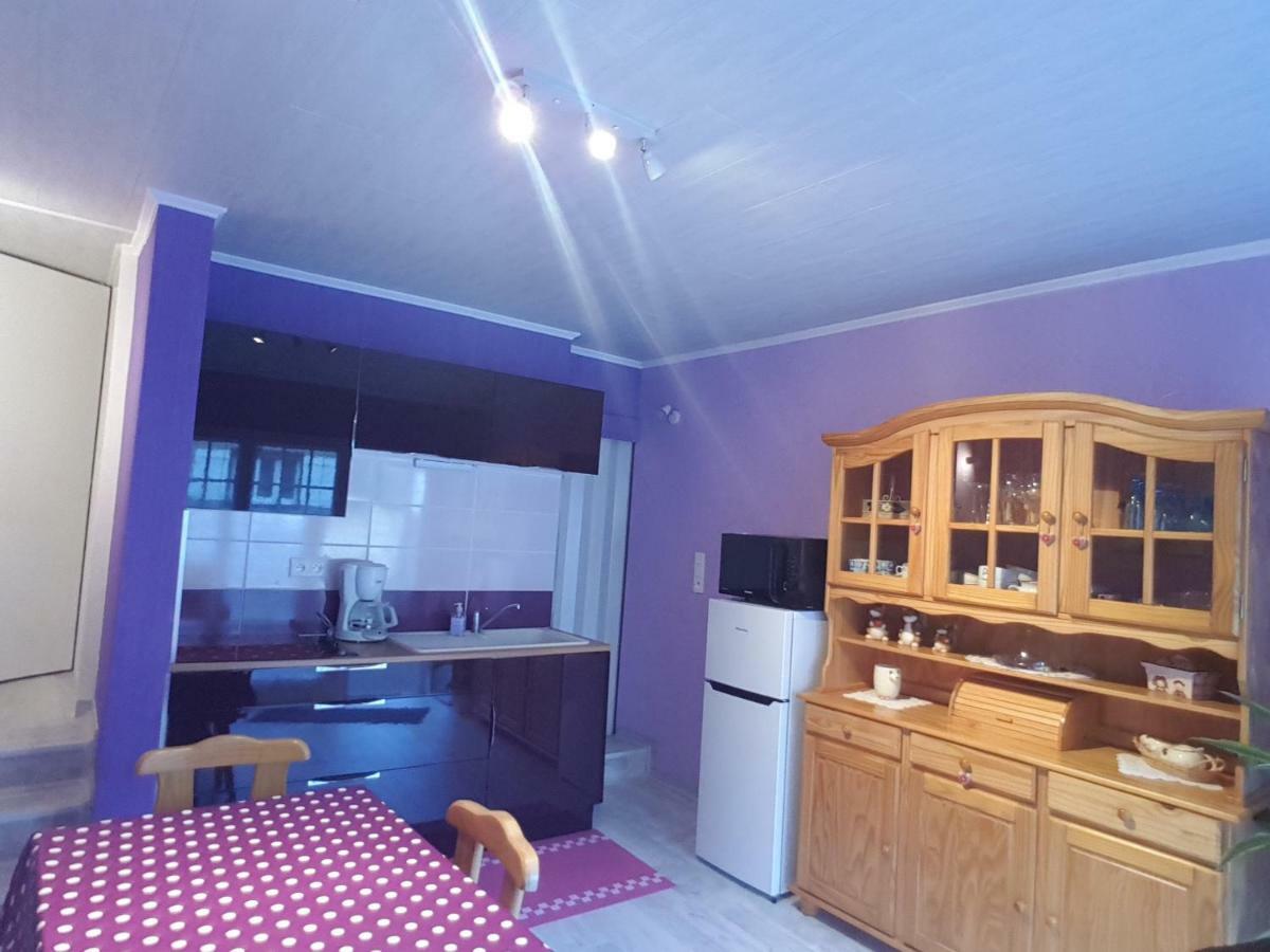 La Belle Endormie - Appartement A Fenetrange Exteriör bild